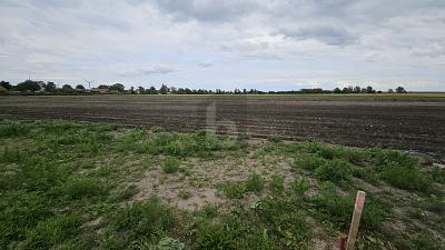 EINZIGARTIGE GELEGENHEIT IN STRANDNÄHE - Grundstück Fehmarn | Angebot:26680807