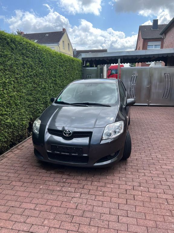 Auris