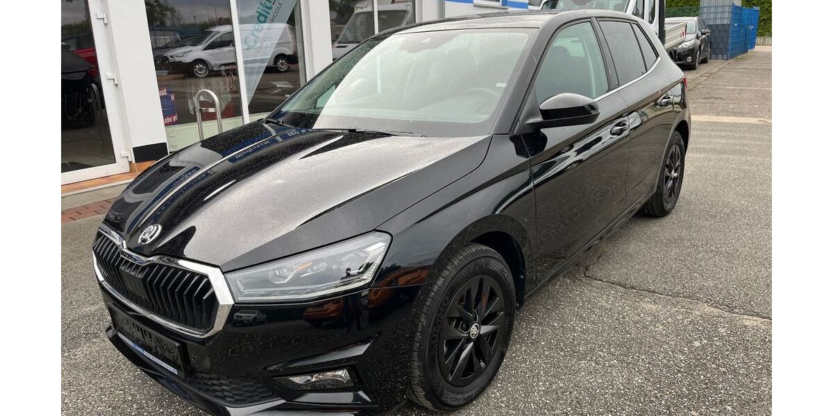 Skoda Fabia 11.580 km 19.990 &euro; Tessin 18195