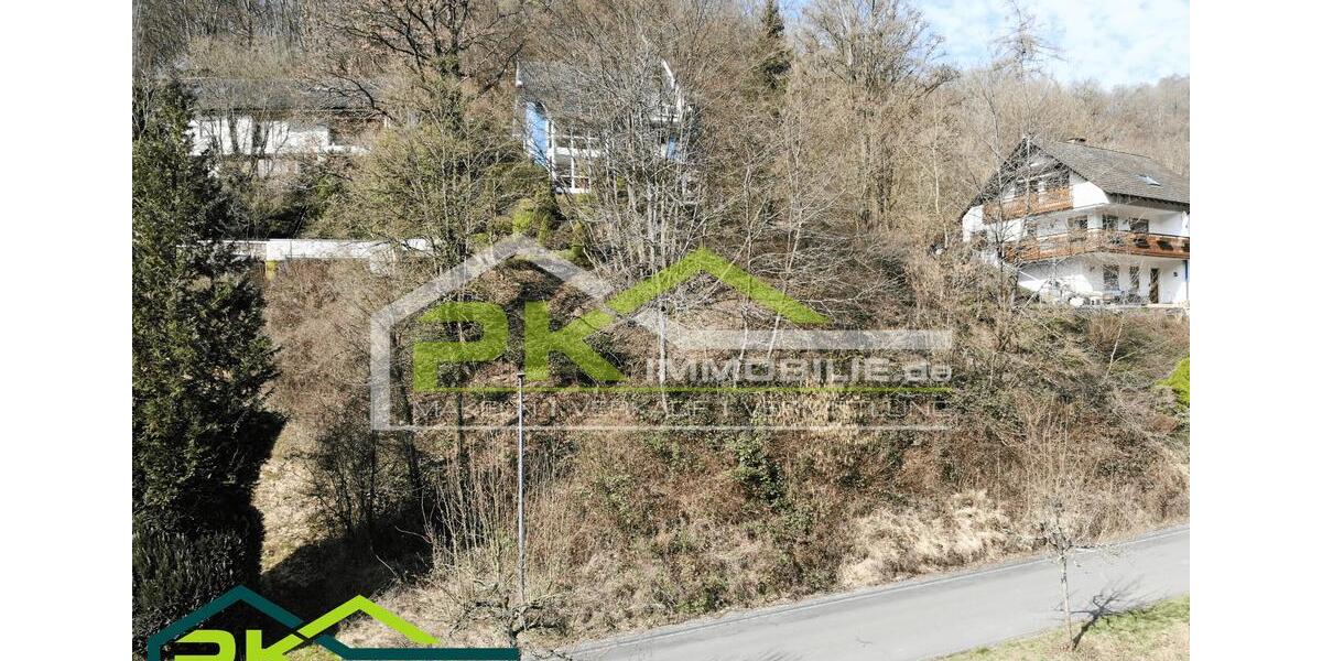 Grundstück Nassau - 5 Zimmer, 663 m&sup2;, 69.000&euro; | Angebot:22231236