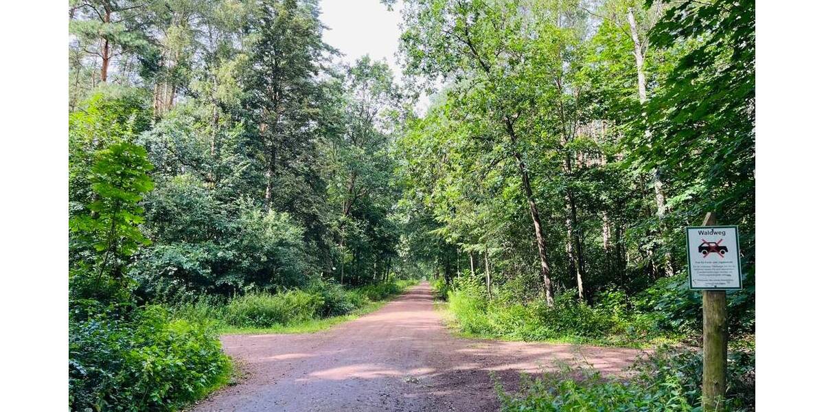 Etagenwohnung Grünheide / Alt Buchhorst Grünheide - 3 Zimmer, 75 m&sup2;, 199.000&euro; | Angebot:22507064