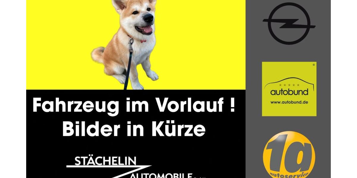 Opel Crossland (X) 51.421 km 13.990 &euro; Wehr 79664