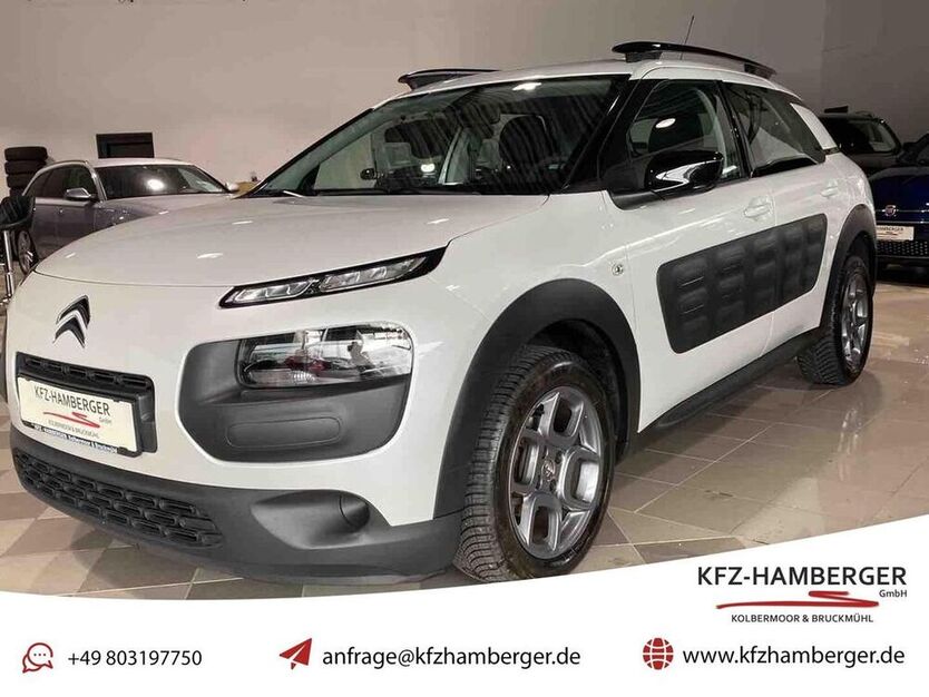 C4 Cactus