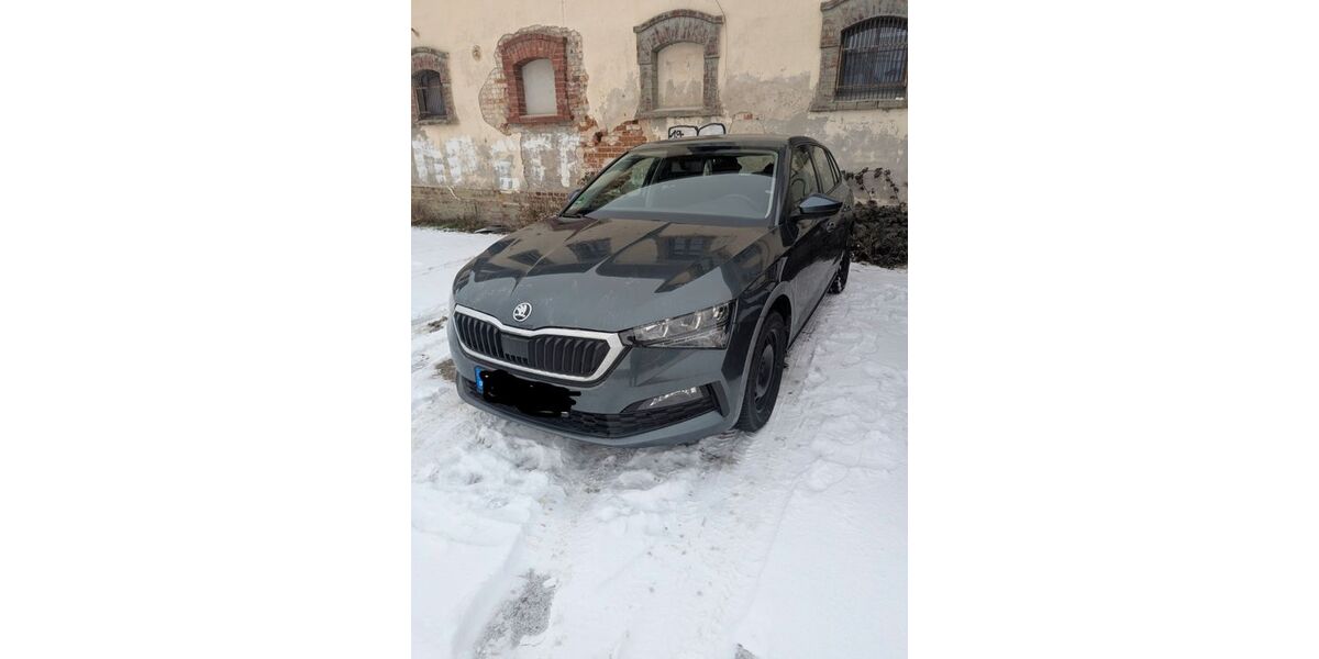 Skoda Scala 50.000 km 14.500 &euro; Naumburg/Saale 06618