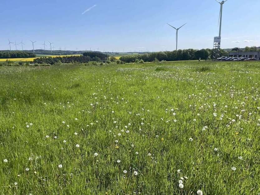Grundstück in Roth 222.000 € 3151 m²