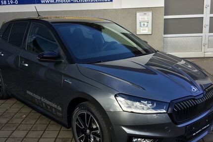 Skoda Fabia 12.000 km 23.670 &euro; Lichtenstein 09350