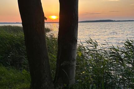 EFH am Fleesensee *Idylle vor der Haustür*