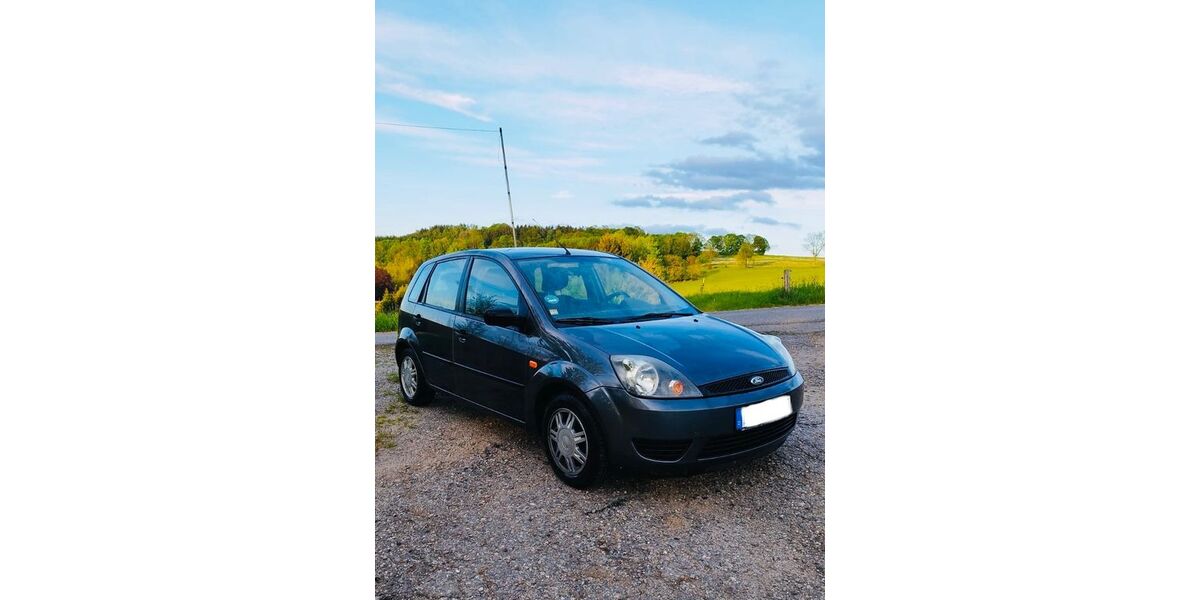 Ford Fiesta 135.650 km 2.990 &euro; Grosshartmannsdorf 09618