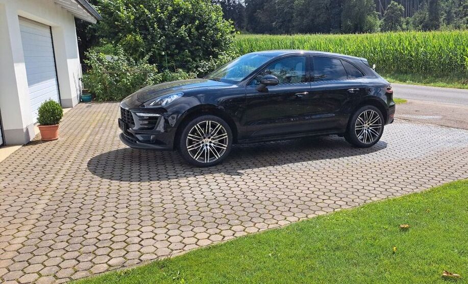 Macan
