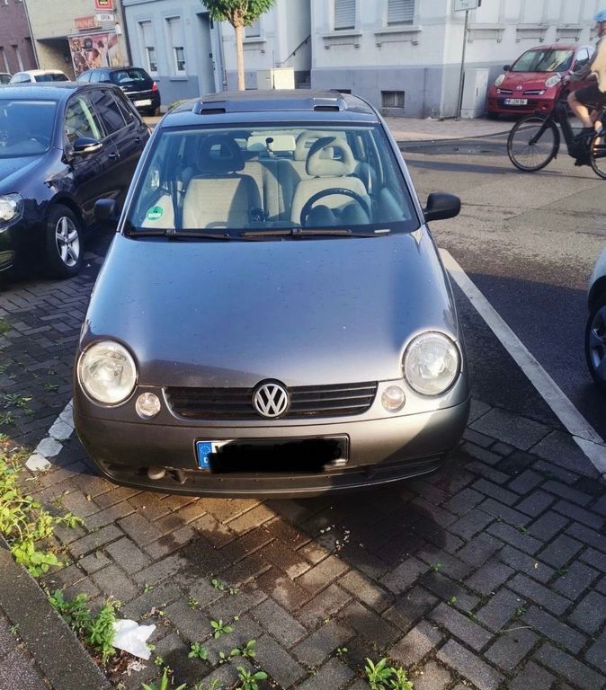 Lupo
