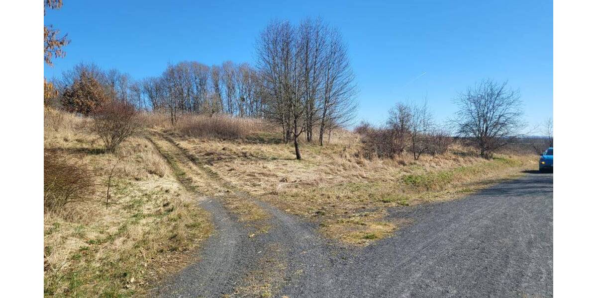 Grundstück Sonneberg Blechhammer - 24.000&euro; | Angebot:25985987