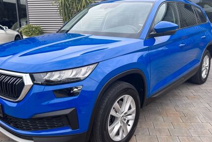 Skoda Kodiaq 189.184 km 18.900 &euro; Postbauer-Heng 92353