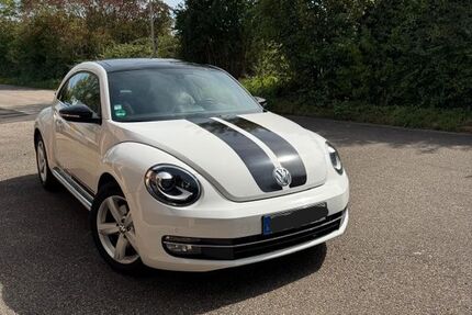 VW Beetle