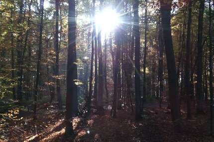 Grundstück zu verkaufen in Hettenleidelheim 45.000 € 5698 m² zimmer