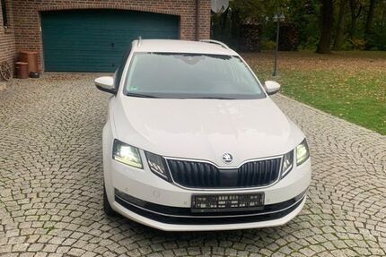 Skoda Octavia 301.000 km 9.800 € Jessen 06917