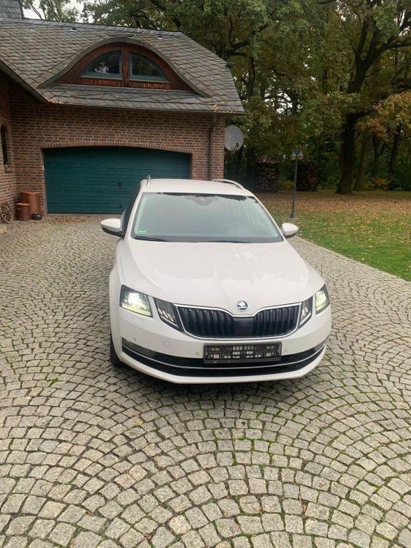 Skoda Octavia 301.000 km 9.800 € Jessen 06917