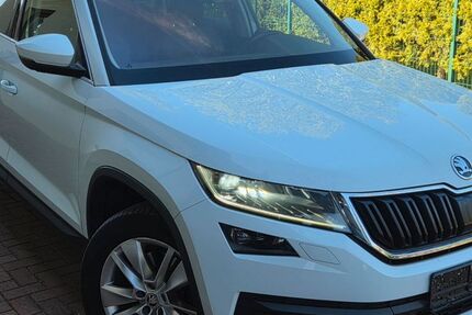 Skoda Kodiaq 280.000 km 15.300 &euro; Bremen 28277