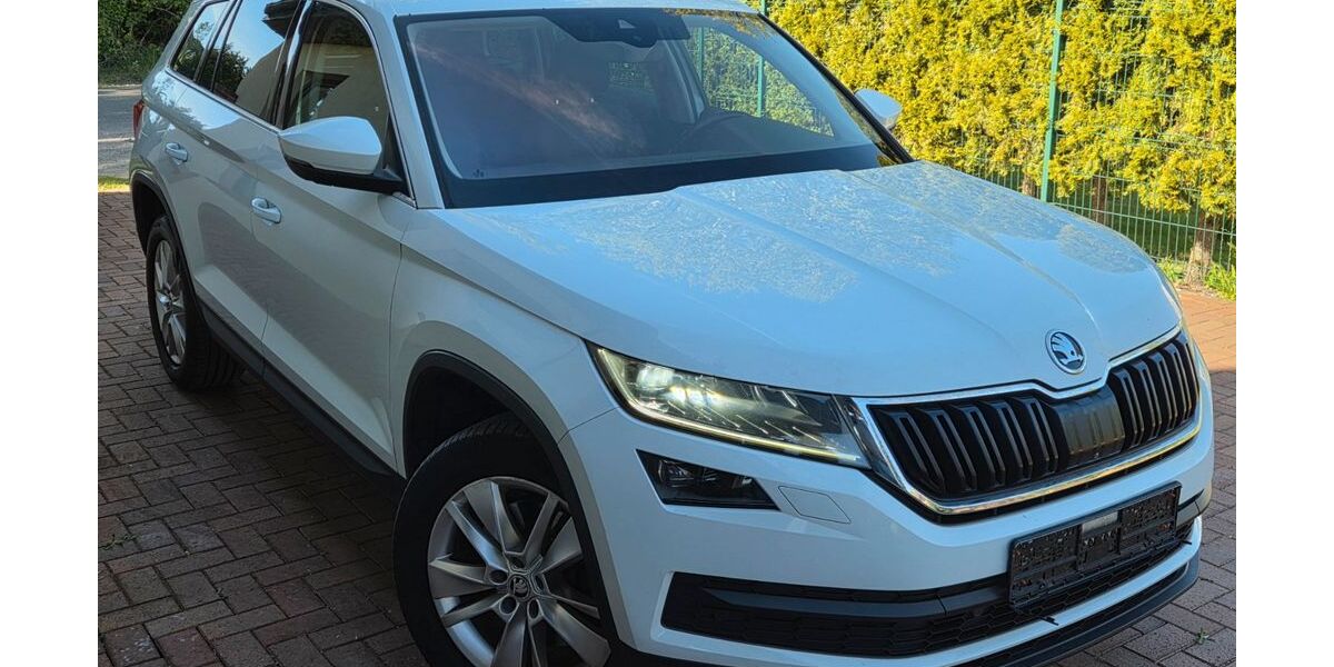 Skoda Kodiaq 280.000 km 15.300 &euro; Bremen 28277