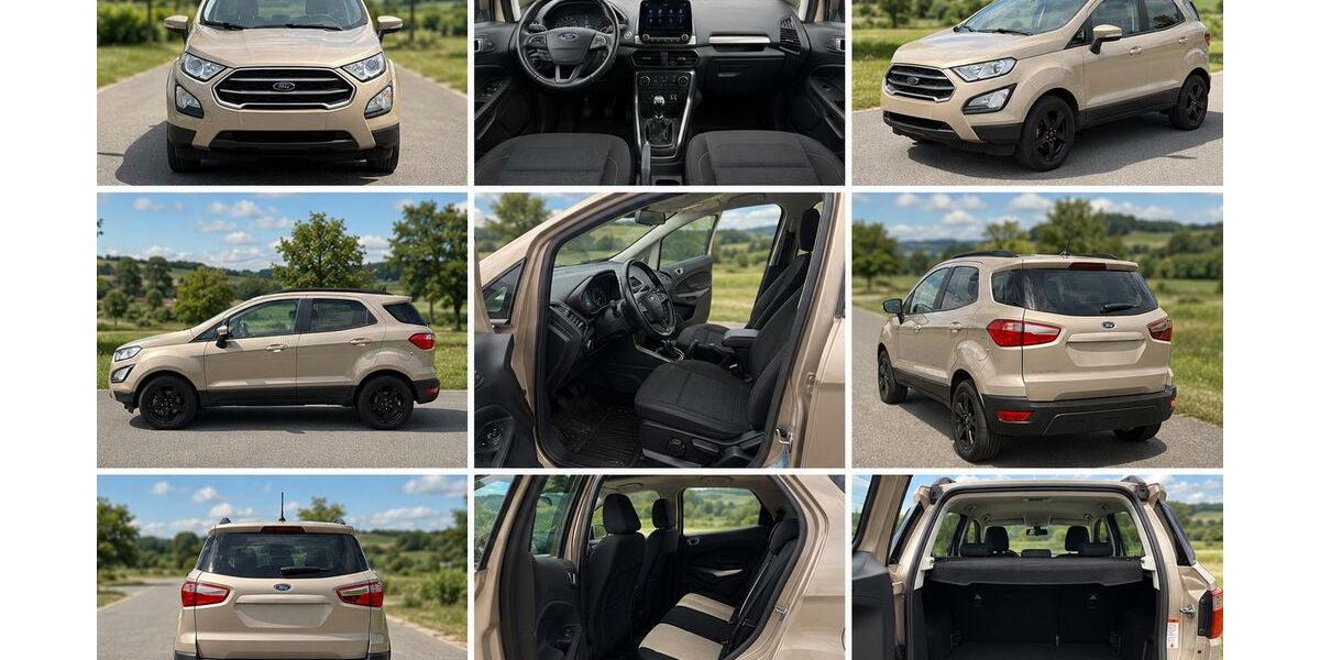 Ford EcoSport 50.000 km 13.500 &euro; Auerbach 09209