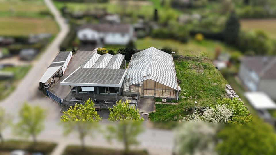 Gewerbeobjekt Ober-Ramstadt Ramstadt - 1.450&euro; | Angebot:24155028