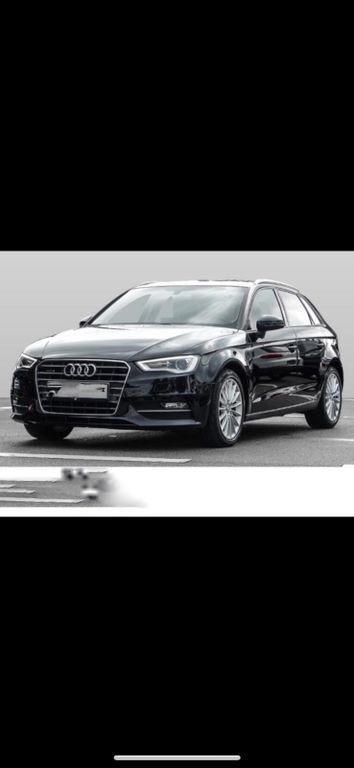 A3