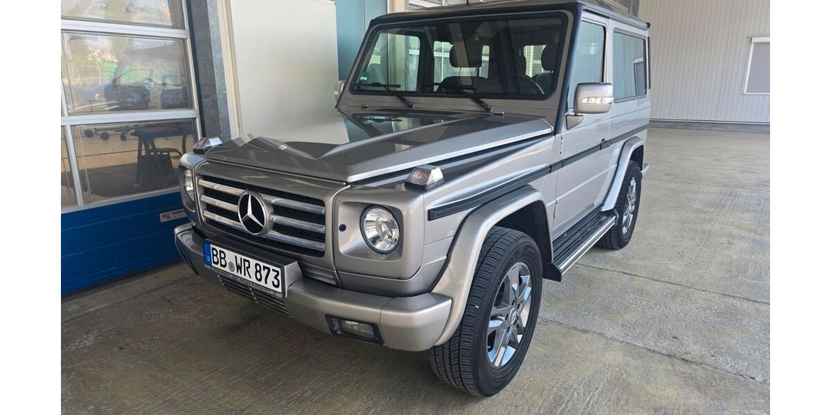 Mercedes-Benz G 270 235.000 km 41.800 &euro; Aidlingen 71134
