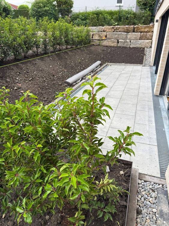 Neubau Erstbezug! Moderne 2,5 -GartengeschossWohnung mit Terrasse