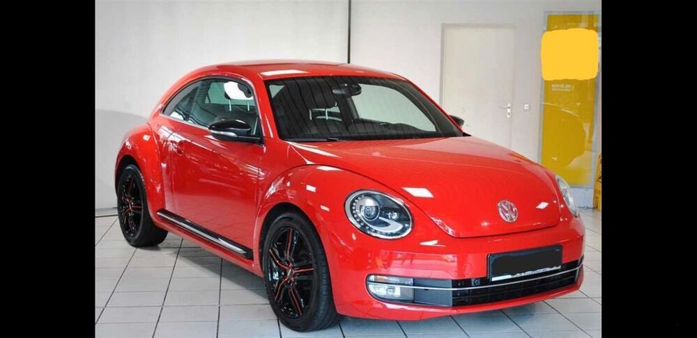 Beetle