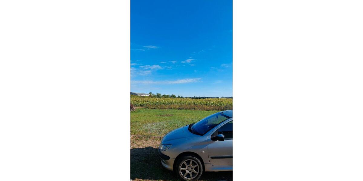 Dachgeschoßwohnung Plau am See - 2 Zimmer, 42 m&sup2;, 300&euro; | Angebot:26216400