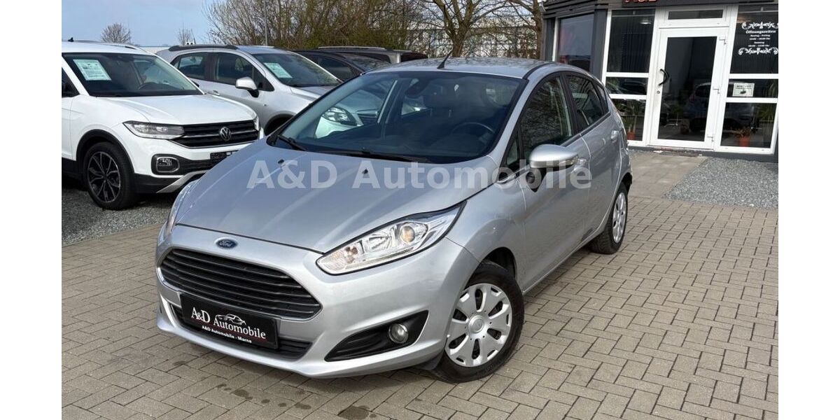 Ford Fiesta 185.123 km 4.790 &euro; Marne 25709
