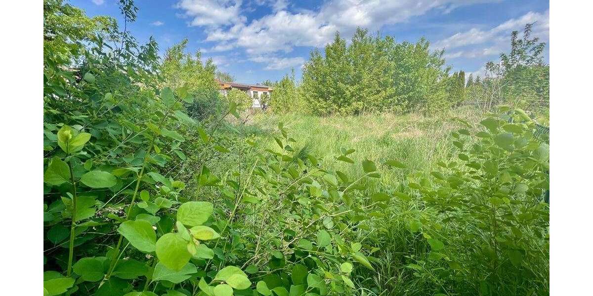 Grundstück Wischer Wischer - 79.999&euro; | Angebot:25689341