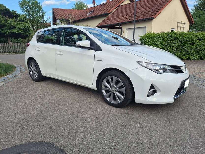 Auris