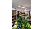 Gewerbeobjekt Bad Lausick - 900&euro; | Angebot:24456213