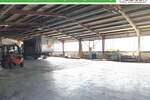 ++ Gut anfahrbare Lagerhalle, 2 Tore, mit Büroteil im Gewerbegebiet ++ zimmer