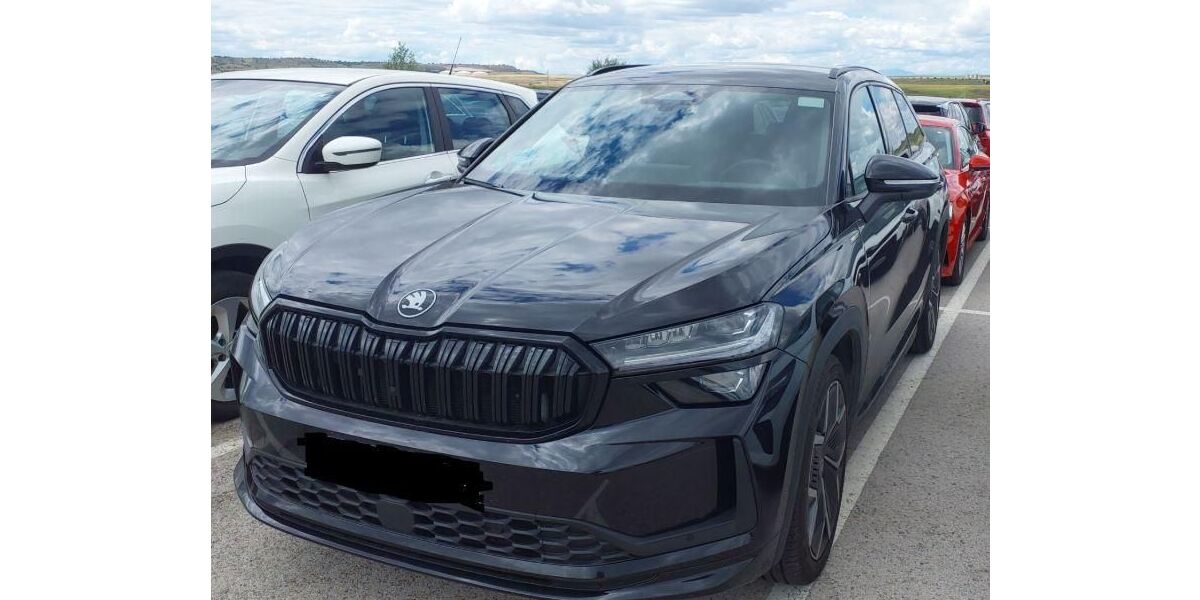 Skoda Kodiaq 33.288 km 40.480 &euro; Rüsselsheim 65428