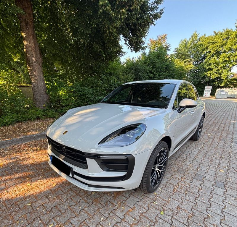 Macan