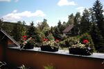 Etagenwohnung Marienberg - 2 Zimmer, 53 m&sup2;, 265&euro; | Angebot:26692591