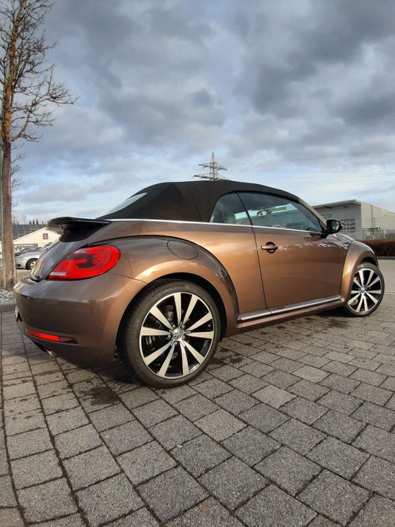 Beetle