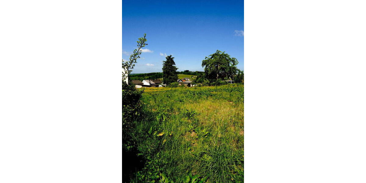 Grundstück Hilgert Faulbach - 270.000&euro; | Angebot:26795088