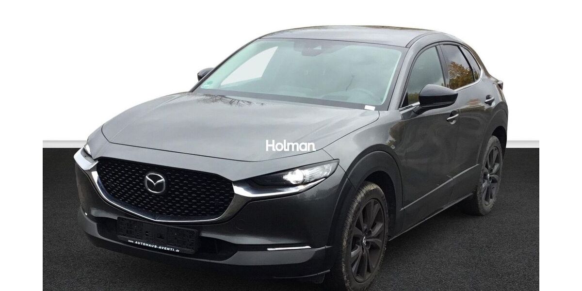 Mazda CX-30 42.259 km 21.062 &euro; Eschborn 65760