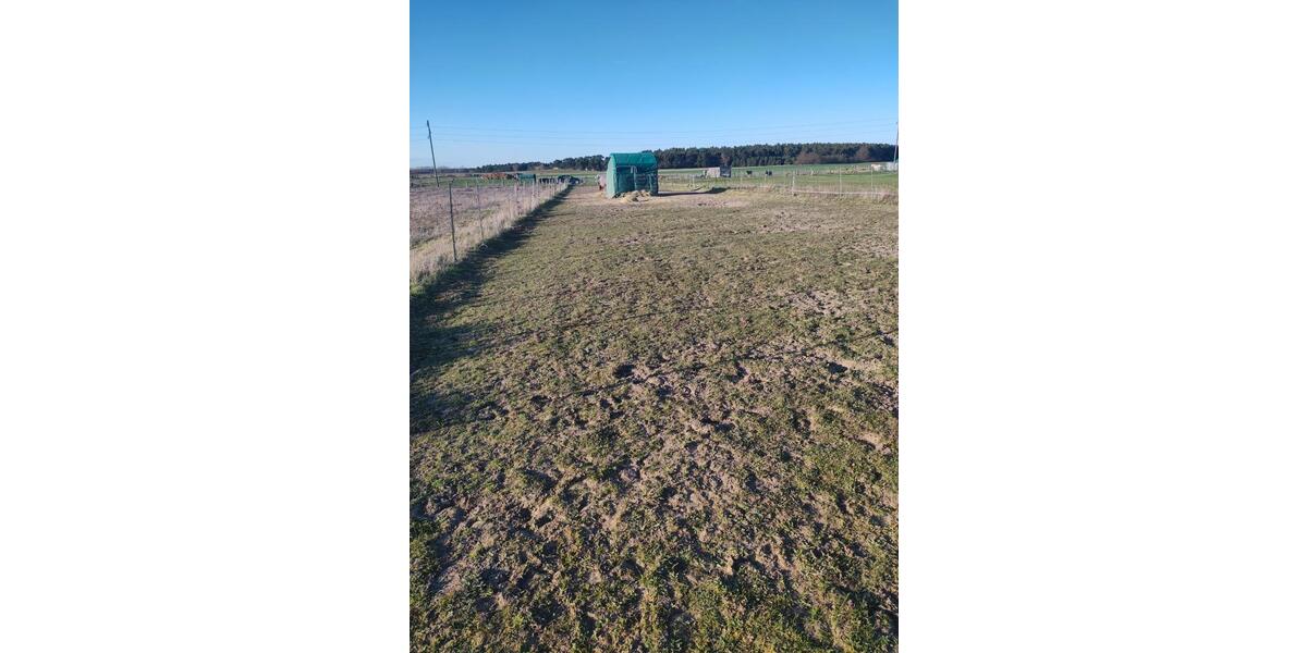 Bauernhaus, Landhaus Königslutter am Elm - 7 Zimmer, 146 m&sup2;, 280.000&euro; | Angebot:26305204