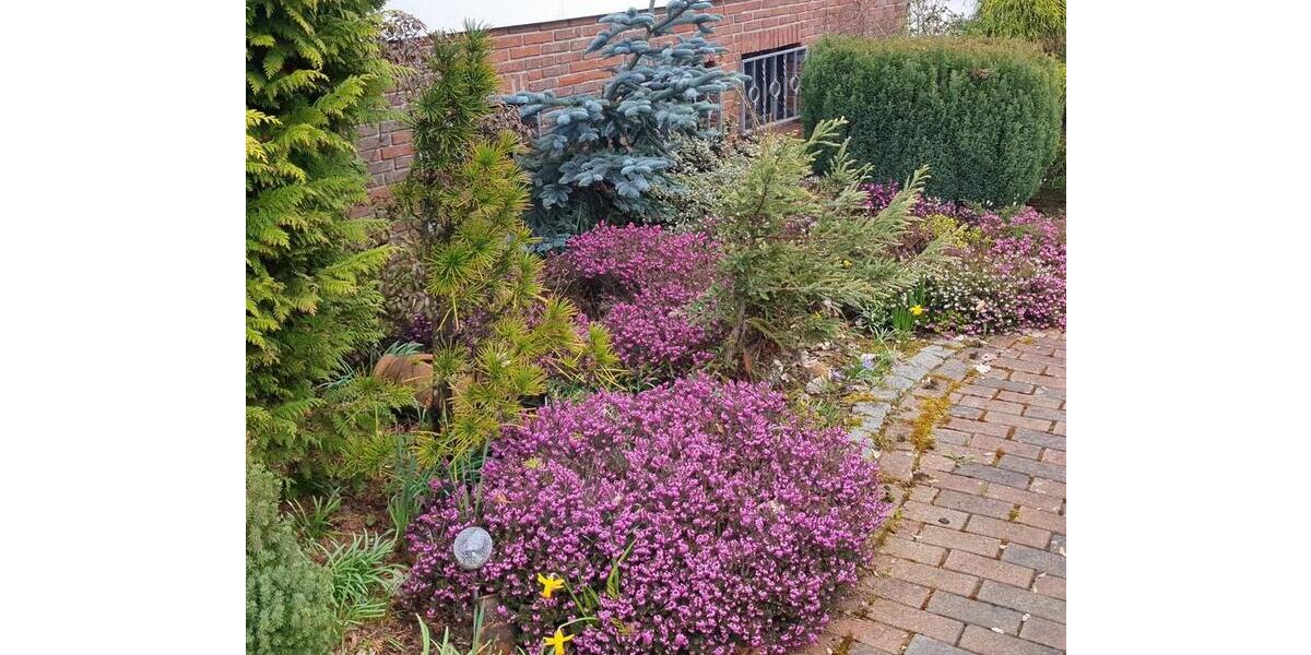 Bungalow Korbach - 7 Zimmer, 150 m&sup2;, 225.000&euro; | Angebot:26903081
