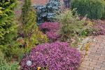 Bungalow Korbach - 7 Zimmer, 150 m&sup2;, 225.000&euro; | Angebot:26903081