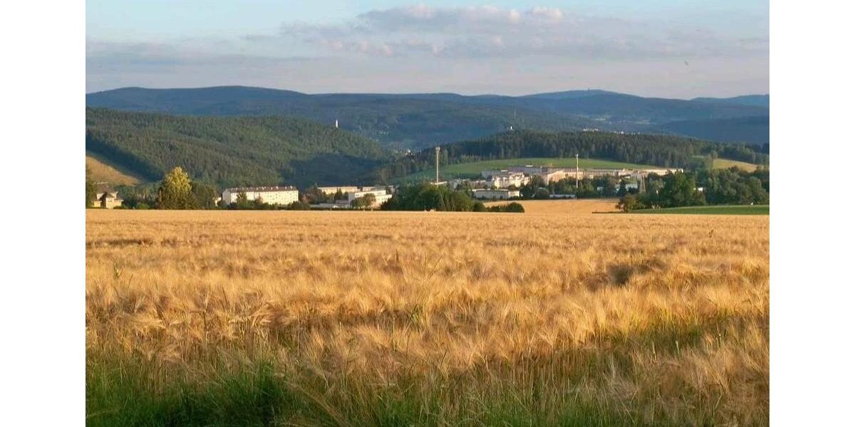Grundstück Lößnitz - 1.550&euro; | Angebot:26279426