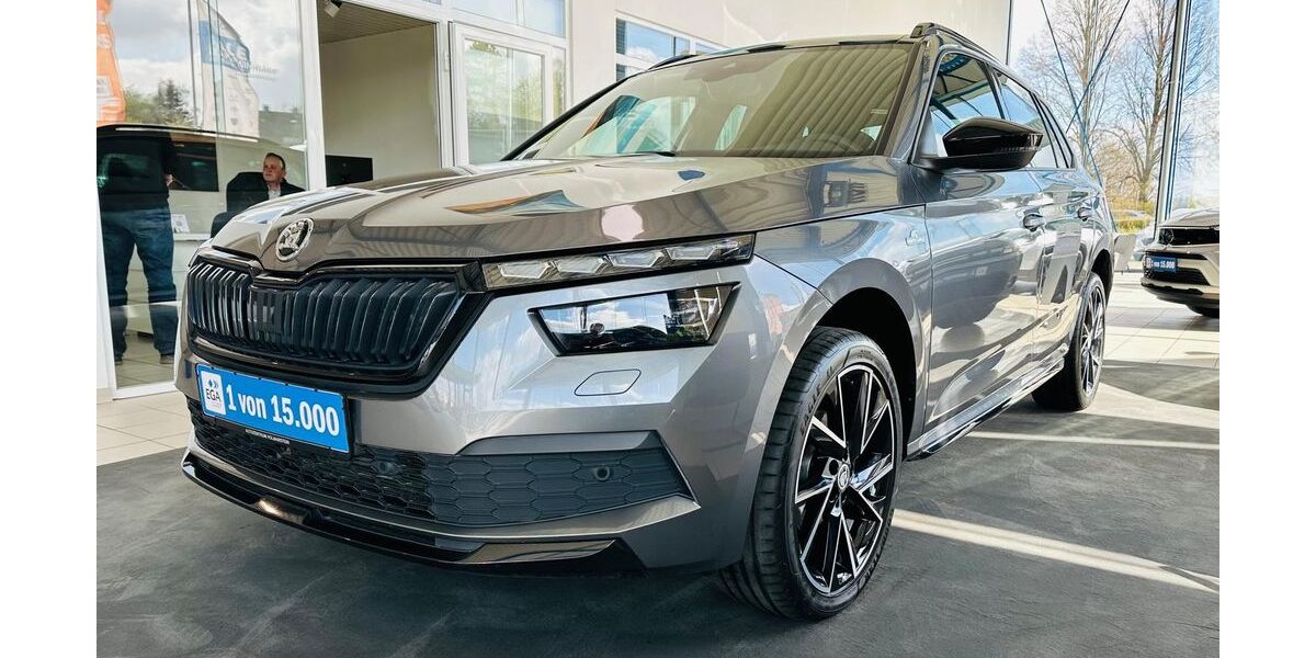 Skoda Kamiq 53.420 km 25.790 &euro; Wetter 58300
