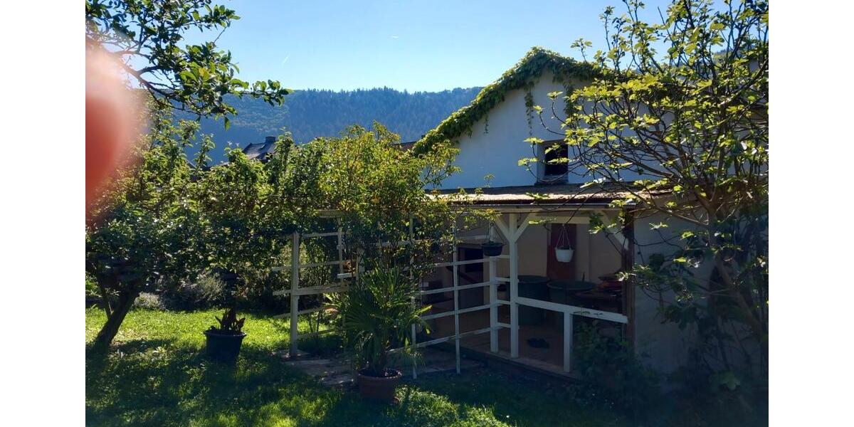 Einfamilienhaus Traben-Trarbach Trarbach - 349.000&euro; | Angebot:26763093