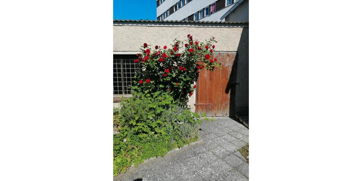 Einfamilienhaus Altentreptow - 5 Zimmer, 113 m&sup2;, 72.500&euro; | Angebot:26215343