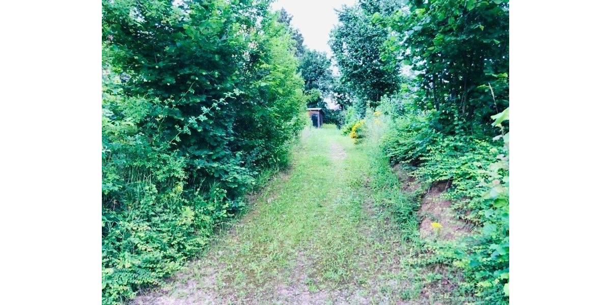 Grundstück Wenzenbach - Thanhausen Thanhausen - 199.000&euro; | Angebot:24049552