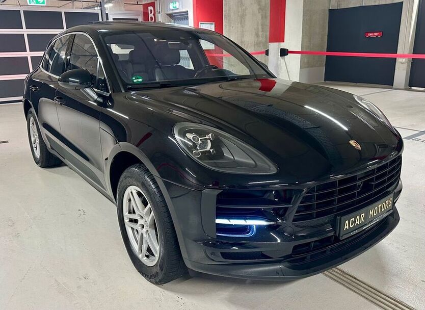 Macan
