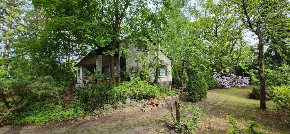 Charmantes EFH mit viel Liebe zum Detail auf individuellem Grundstück - Einfamilienhaus Gartow Nienwalde | Angebot:26756142